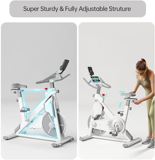 Exercise Bike Stationary Bike Indoor Cycling Bike with Comfortable Seat Cushion,Heavy Flywheel,Large Tablet Holder,LCD Monitor,Multi-grips Handlebar Magnetic Silent Belt Drive Cycle Bike for Home Workout