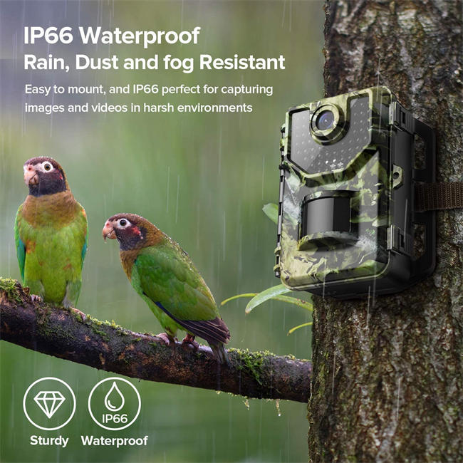 1520P 20MP Trail Camera, Hunting Camera with 120°Wide-Angle Motion Latest Sensor View 0.2s Trigger Time Trail Game Camera with 940nm No Glow and IP66 Waterproof 2.4” LCD 48pcs for Wildlife Monitoring